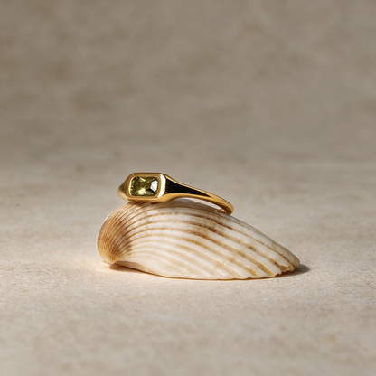 Riviera Ring