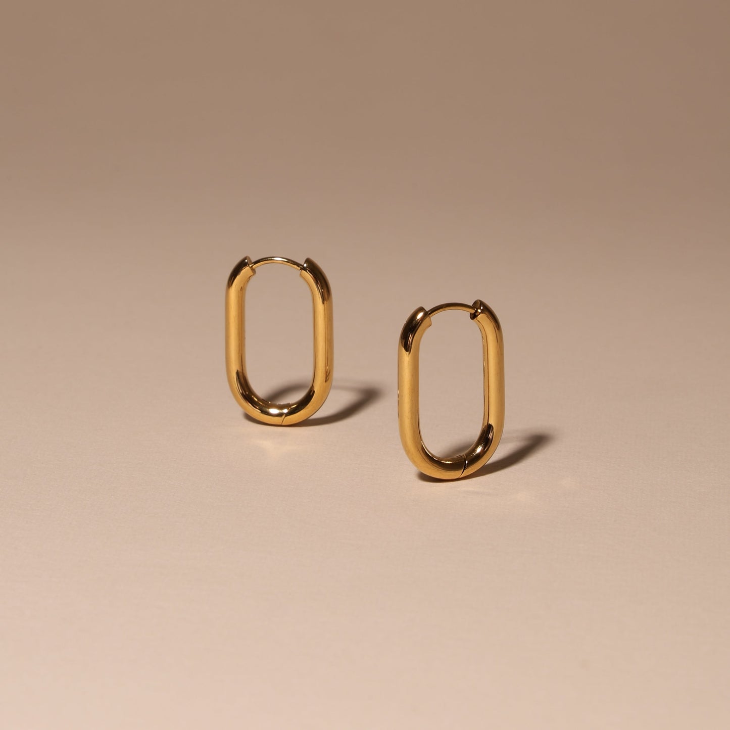 Oval Hoop Earrings