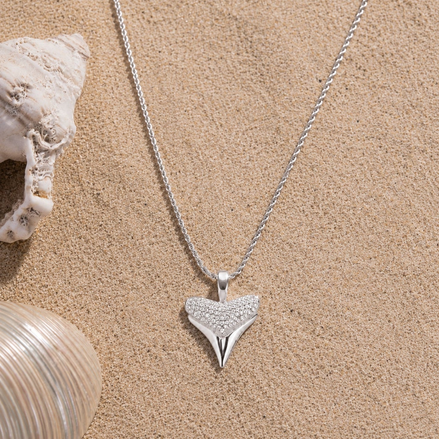 Shark Tooth Pendant